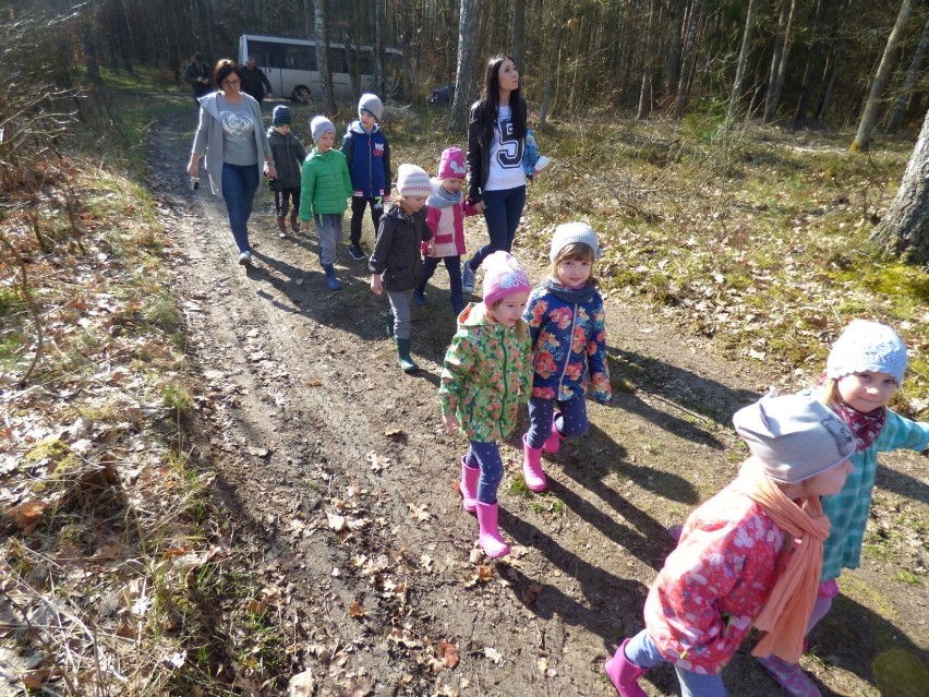 Przedszkolaki z Przechlewa sadzą las