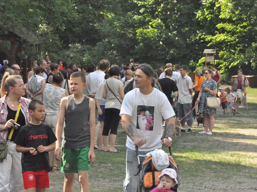 Piknik Przyjaciół Schroniska dla Bezdomnych Zwierząt na Barbarce [Zdjęcia]