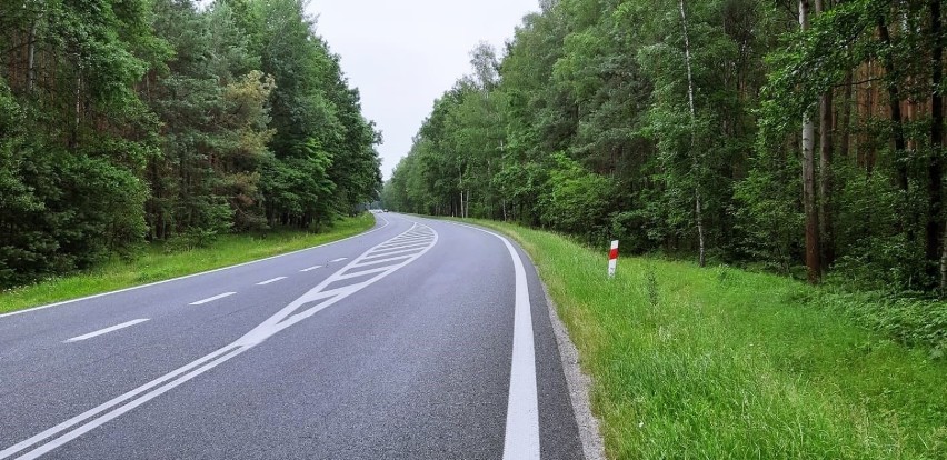 Ścieżka rowerowa Opole-Grodziec przecinałaby obszar dwóch...