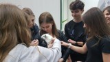 Szkoły pomagają zwierzętom – rusza walentynkowa akcja „Kocham Rudą Faunę”. Uczniowie z Rudy Śląskiej zbierają rzeczy dla schroniska