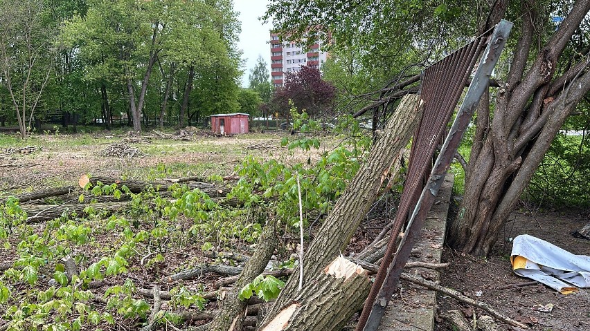 Burza w Częstochowie. Wycięto drzewa w pobliżu szpitala na Tysiącleciu