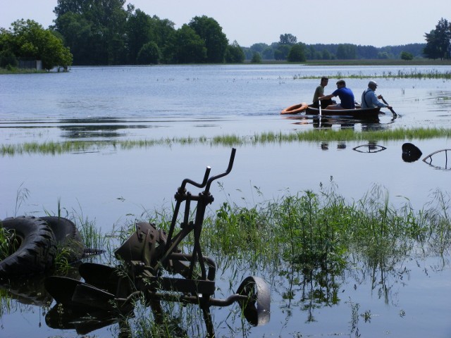 Mieszkańcy Rogalina  pływają teraz  po swoich ogrodach i łąkach