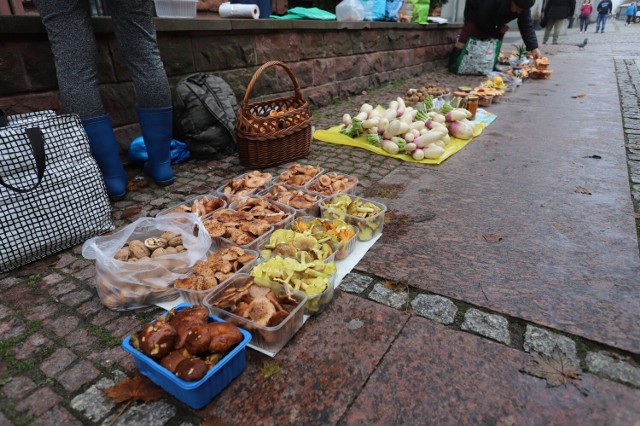 Na rogu ulic Sienkiewicza i Paderewskiego od lat sprzedawane są grzyby. Sprawdź ich ceny w galerii.