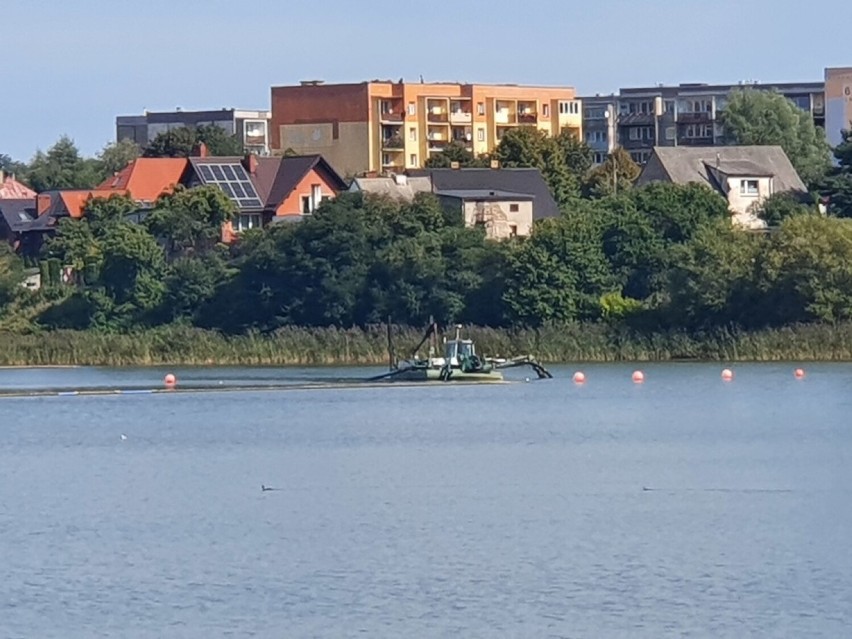 Gniezno. Jezioro Jelonek nadaje się do rekultywacji. Tylko...