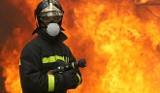 Pożar przedszkola w Rudzie Śląskiej. Ewakuowano 21 dzieci