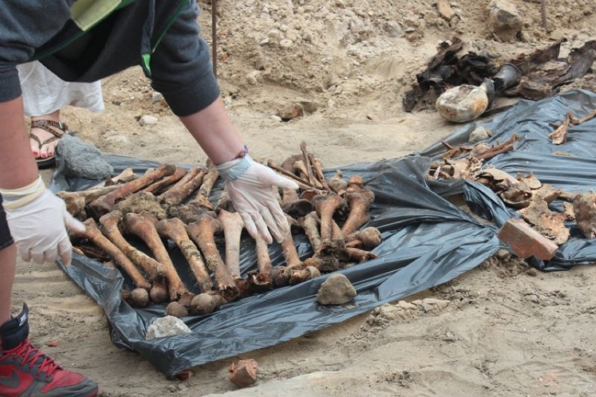 Na terenie UAM znaleziono ludzkie kości.