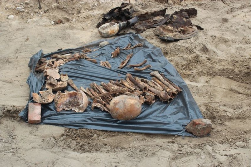Na terenie UAM znaleziono ludzkie kości.