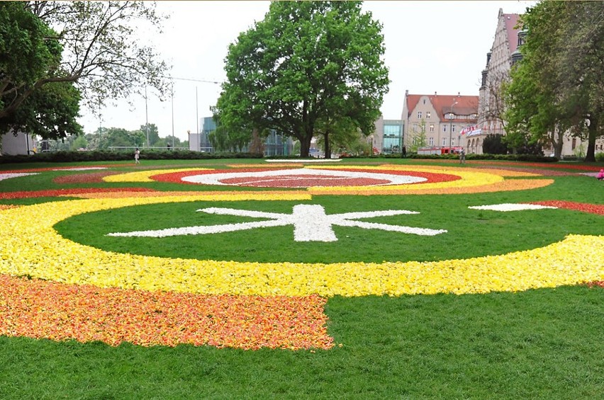Dywany z kwiatów powstały w parku przy operze