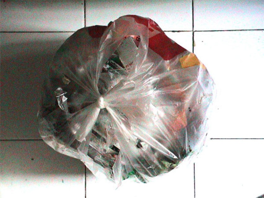 niesmiertelna torba z plastiku/Fot.Paulina Plizga