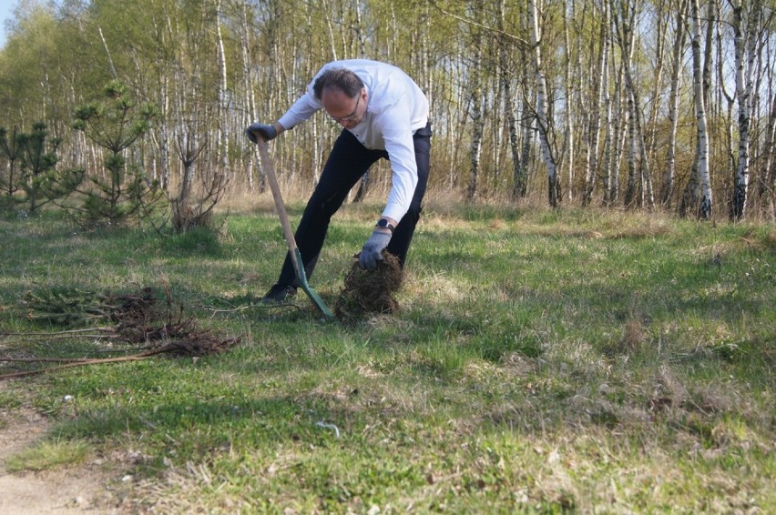 Radomsko: Sadzą drzewa przy zbiorniku na Wymysłówku