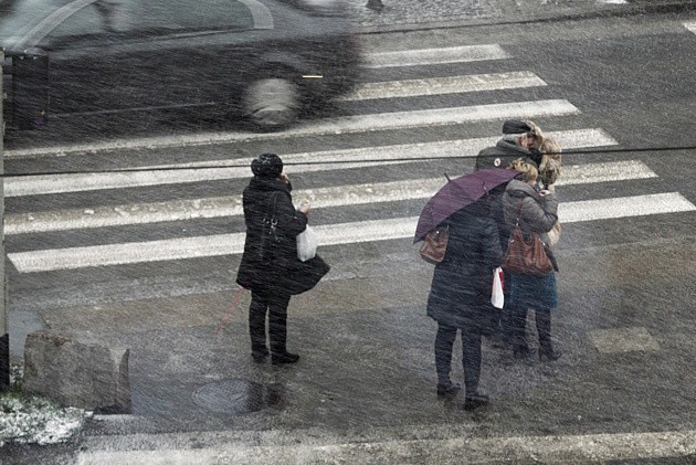 Wrocław: Sypnęło śniegiem. Czy to początek prawdziwej zimy? (ZDJĘCIA)