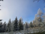 Muszyna jest bajeczna. Zima zawitała w Beskid Sądecki 