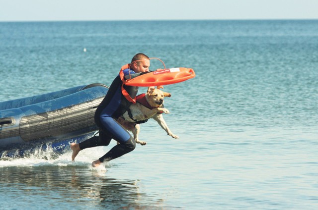 Czy psi ratownicy pojawią się w przyszłym sezonie na sopockiej plaży?