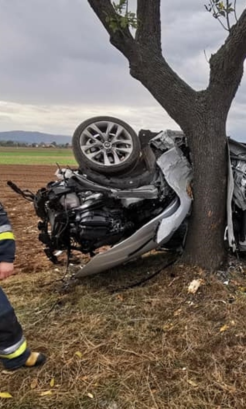 Auto owinęło się na drzewie. To niebywałe co się stało z 18-letnim kierowcą [ZDJĘCIA] 