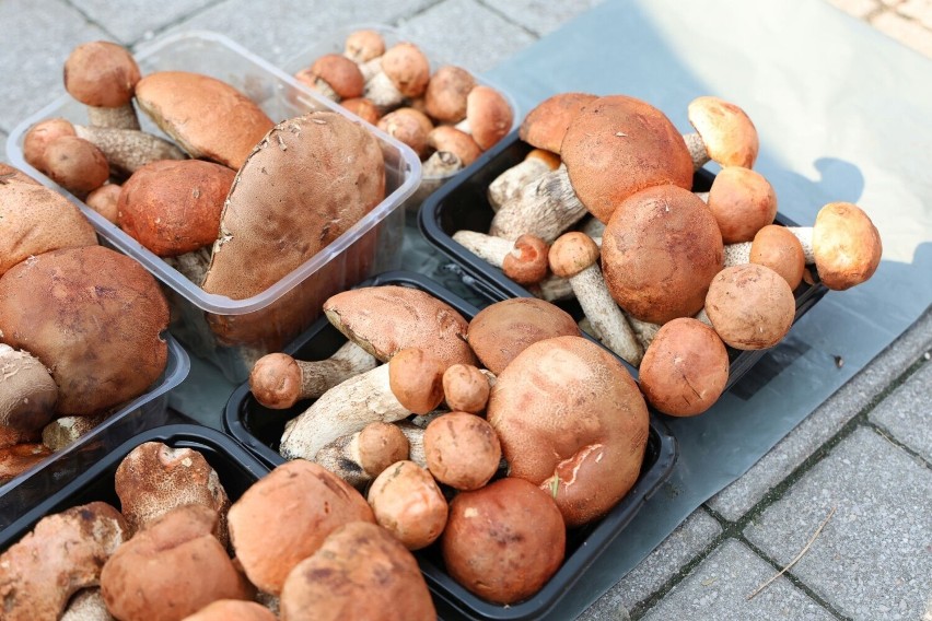 Prawdziwki, kanie, kurki. Mnóstwo grzybów na kieleckich bazarach w piątek 18 sierpnia. Jakie ceny?