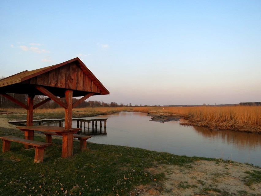 Zobaczcie, jak pięknie jest nad Biebrzą [ZDJĘCIA]