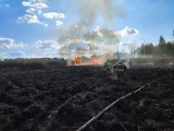 Pożar traw na ulicy Szabelnia w Mysłowicach, ogień pochłonął 400 metrów² terenu 