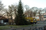 Ustka: Świateczny nastrój na promenadzie. Stanęła tam choinka