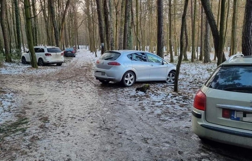 W Lesie Komunalnym w Kielcach kierowcy parkują samochody...