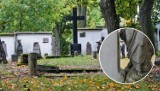Zapomniana, zaniedbana nekropolia obok centrum miasta. Cmentarz ewangelicko–augsburski w Białymstoku jest przez wielu, dosłownie, "olewany"