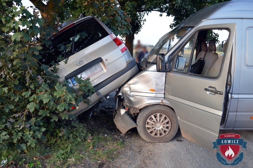 Wypadek drogowy pod Łowiczem. Dwie osoby zostały ranne [ZDJĘCIA]