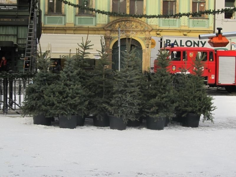 Wrocław: Plac Solny pod śniegiem (ZDJĘCIA)