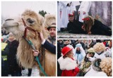 Orszak Trzech Króli w Siemiatyczach. Był prawdziwy wielbłąd i bożonarodzeniowe inscenizacje (ZDJĘCIA)