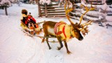8 cudów Laponii: św. Mikołaj w schronie przeciwlotniczym, polarne zoo i inne atrakcje