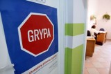 Dolny Śląsk: Chorują na świńską grypę