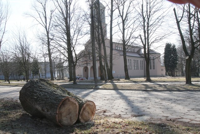 Mieszkańcy osiedla przed laty w czynie społecznym posadzili drzewa. Proboszcz je wyciął.