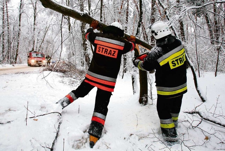 Jak jest zima, to musi być zimno