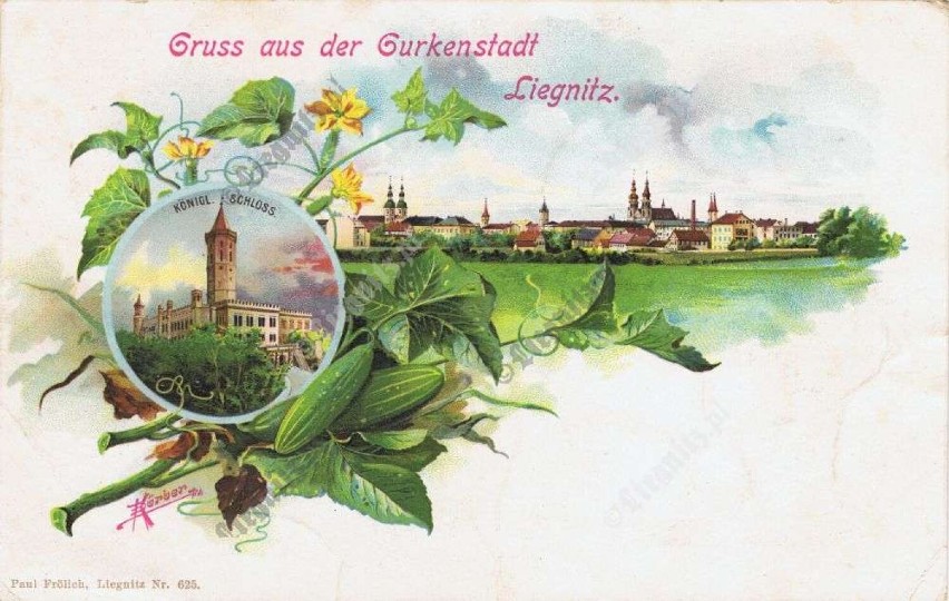 Karta pocztowa z pozdrowieniami z miasta ogórków.