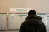 Praca w Gdańsku. Kogo szukają pracodawcy i ile płacą? Sprawdź najnowsze oferty pracy w gdańskim urzędzie pracy