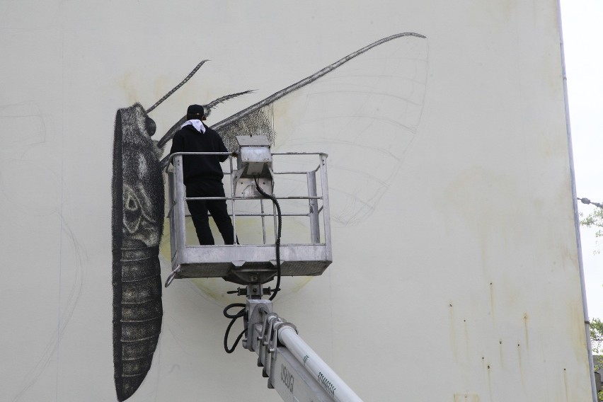 Mural przy Kilińskiego 26 jest malowany przez artystę z Puerto Rico, Alexisa Diaza