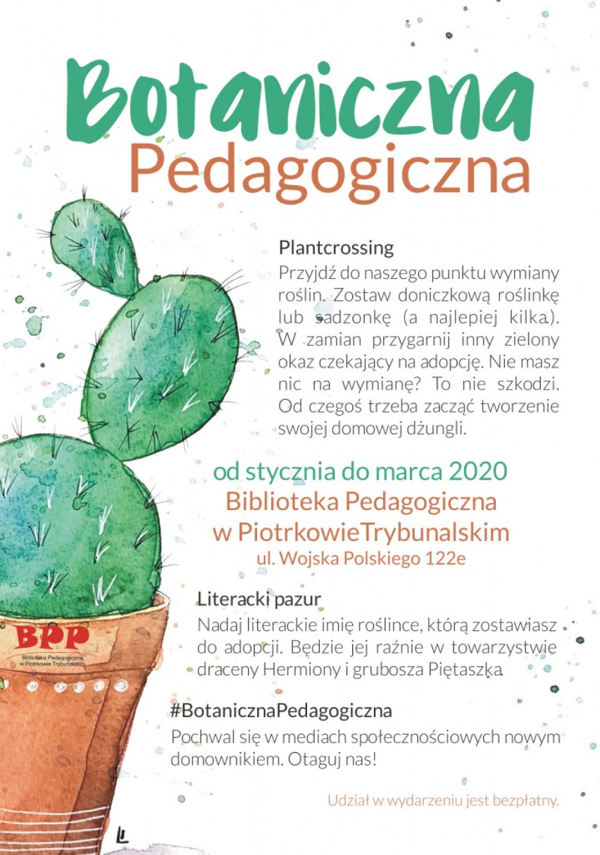 Botaniczna Pedagogiczna - przyjdź i zaadoptuj kaktusa Sancho Pansę