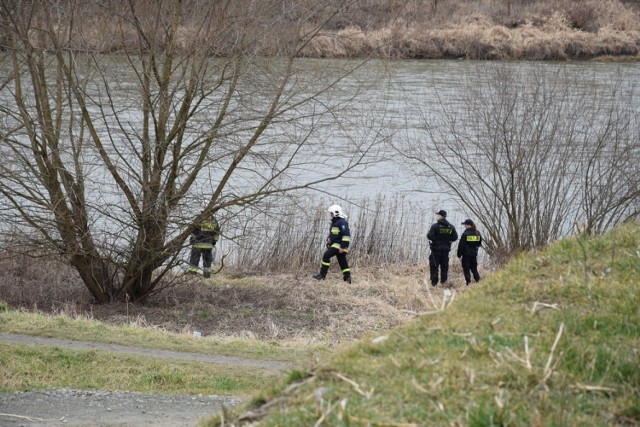 Akcja poszukiwawcza nad Dunajcem została wznowiona. Szukają mężczyzny, który wczoraj, po godz. 18 skoczył z mostu Kolejowego