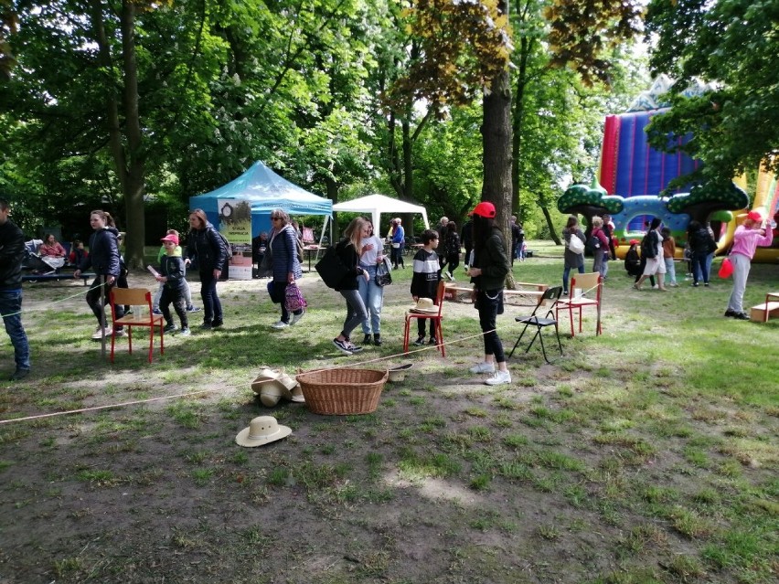 Zobacz, jak bawiono się podczas rodzinnego pikniku na...