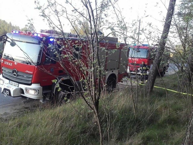 W Dzierżążnie doszło do pożaru lasu. Spaliło się 200 metrów kw. ściółki leśnej.