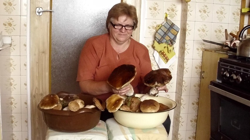 Danuta Chadrysiak z Sędziejowic znalazła grzyb, którego...