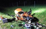 Wypadek na A4 k. Tarnowa. Ranna pasażerka nissana, zginął jeden pies, drugi uciekł do lasu