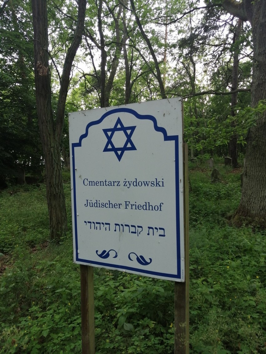 Cmentarz żydowski w Trzcielu powstał w połowie XVIII w....