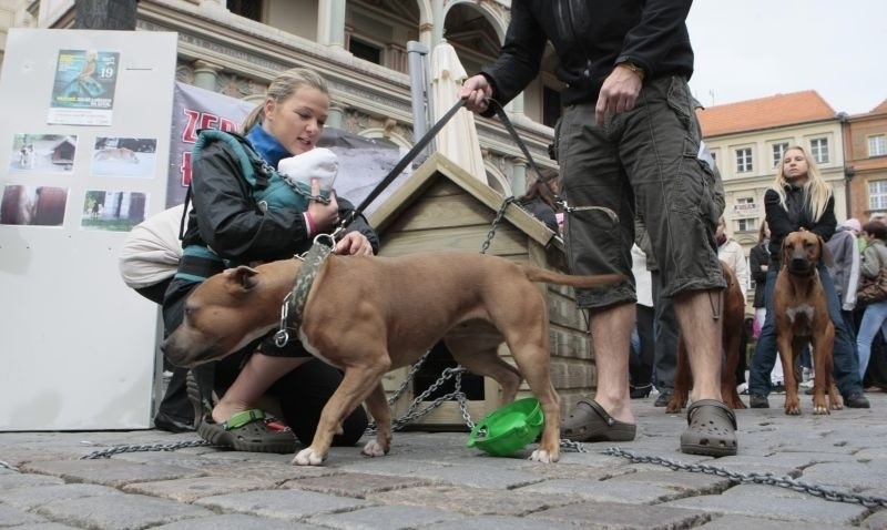 Poznań: Akcja &quot;Zerwijmy łańcuchy&quot; na Starym Rynku. Zdjęcia