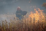 Ludzie powinni siedzieć w domach, a mamy nawet kilkanaście podpaleń traw dziennie