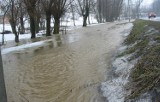 Coraz więcej wody pod Tarnowem. Zdarzają się podtopienia, nie kursują promy na Dunajcu