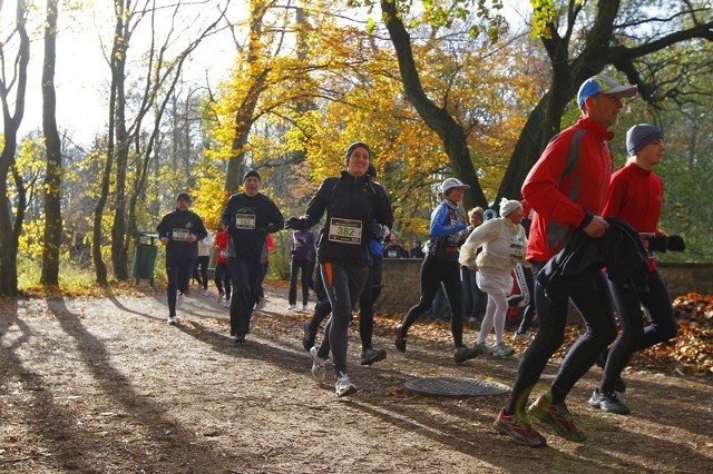 Grand Prix "Z Biegiem Natury" w Poznaniu nad Rusałką