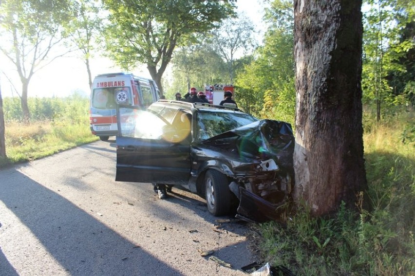 Braniewo. Volkswagen uderzył w drzewo [zdjęcia]