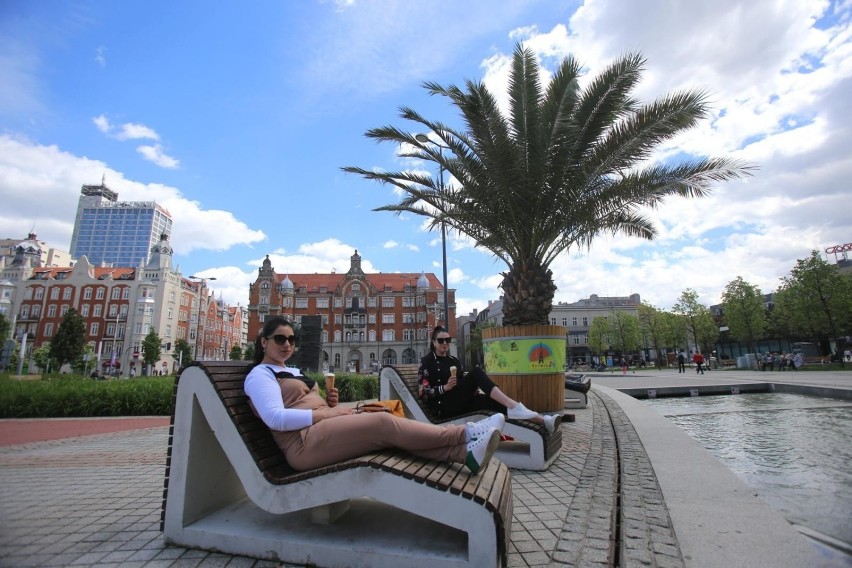 Palmy wróciły na rynek w Katowicach; Zobacz kolejne zdjęcia....