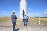 Grupa PGE kupiła farmę wiatrową pod Grudziądzem i dwie w innych częściach kraju. "To nie koniec naszych planów inwestycyjnych"