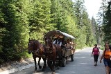 Tatry: regulamin dla fiakrów obowiązuje już od sierpnia