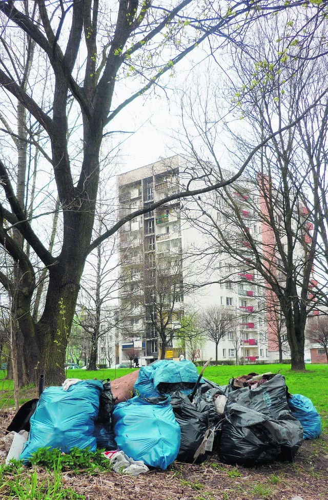 Mieszkańcy osiedla sami posprzątali śmieci do worków